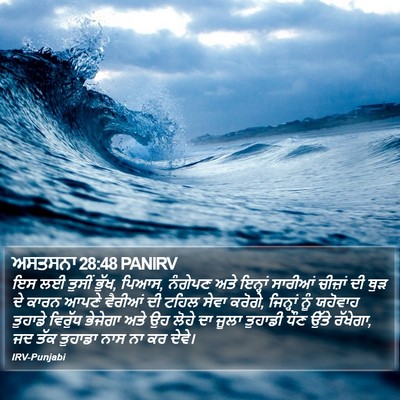 ਅਸਤਸਨਾ 28:48 PANIRV Bible Verse Image