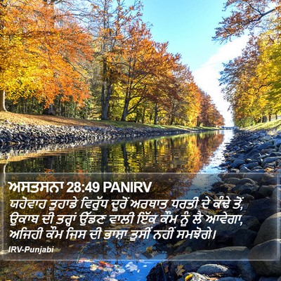 ਅਸਤਸਨਾ 28:49 PANIRV Bible Verse Image
