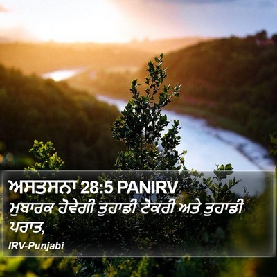 ਅਸਤਸਨਾ 28:5 PANIRV Bible Verse Image