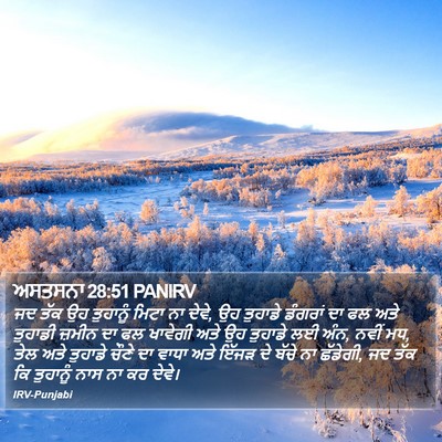 ਅਸਤਸਨਾ 28:51 PANIRV Bible Verse Image