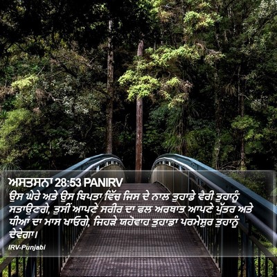 ਅਸਤਸਨਾ 28:53 PANIRV Bible Verse Image