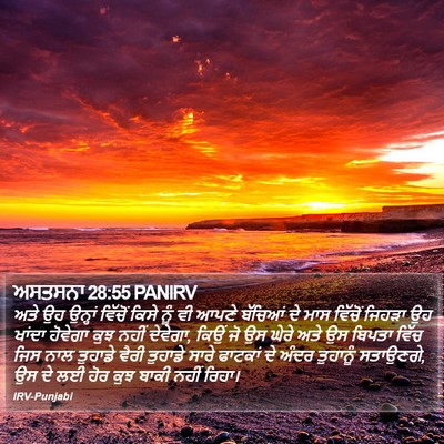ਅਸਤਸਨਾ 28:55 PANIRV Bible Verse Image
