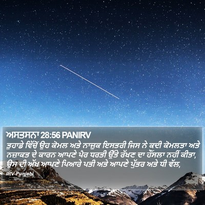 ਅਸਤਸਨਾ 28:56 PANIRV Bible Verse Image