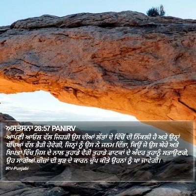 ਅਸਤਸਨਾ 28:57 PANIRV Bible Verse Image