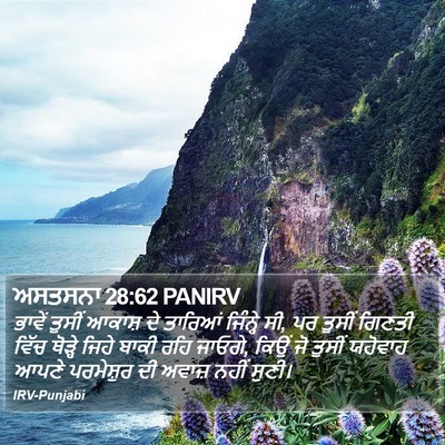 ਅਸਤਸਨਾ 28:62 PANIRV Bible Verse Image
