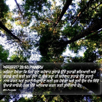 ਅਸਤਸਨਾ 28:63 PANIRV Bible Verse Image