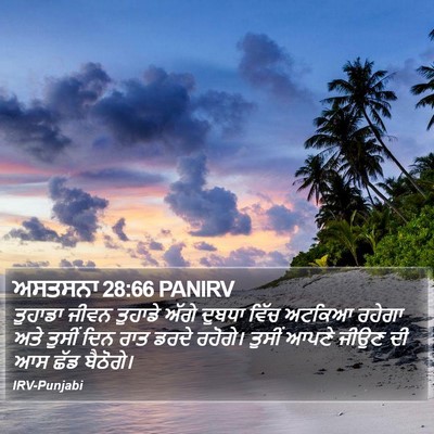 ਅਸਤਸਨਾ 28:66 PANIRV Bible Verse Image