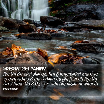 ਅਸਤਸਨਾ 29:1 PANIRV Bible Verse Image