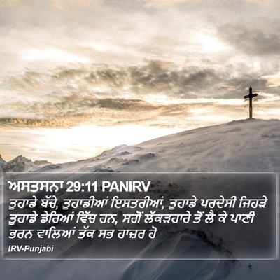 ਅਸਤਸਨਾ 29:11 PANIRV Bible Verse Image