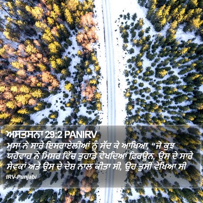 ਅਸਤਸਨਾ 29:2 PANIRV Bible Verse Image