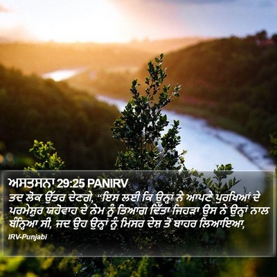 ਅਸਤਸਨਾ 29:25 PANIRV Bible Verse Image