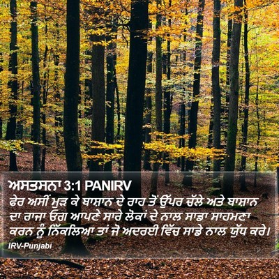 ਅਸਤਸਨਾ 3:1 PANIRV Bible Verse Image