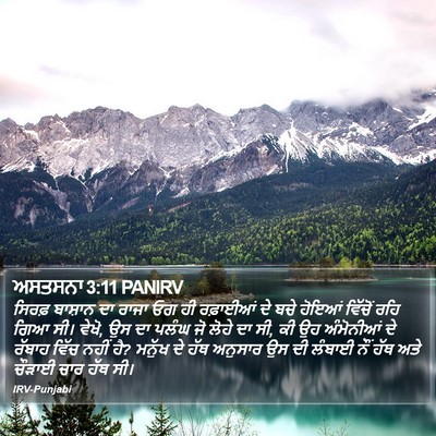 ਅਸਤਸਨਾ 3:11 PANIRV Bible Verse Image