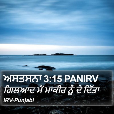 ਅਸਤਸਨਾ 3:15 PANIRV Bible Verse Image