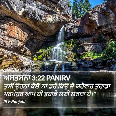 ਅਸਤਸਨਾ 3:22 PANIRV Bible Verse Image