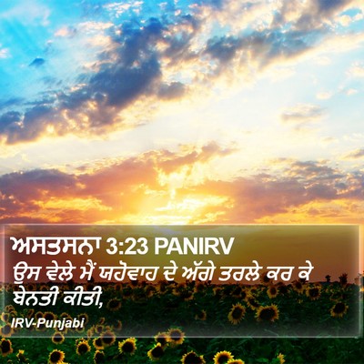 ਅਸਤਸਨਾ 3:23 PANIRV Bible Verse Image