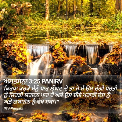 ਅਸਤਸਨਾ 3:25 PANIRV Bible Verse Image