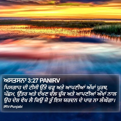 ਅਸਤਸਨਾ 3:27 PANIRV Bible Verse Image