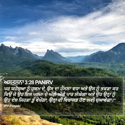 ਅਸਤਸਨਾ 3:28 PANIRV Bible Verse Image