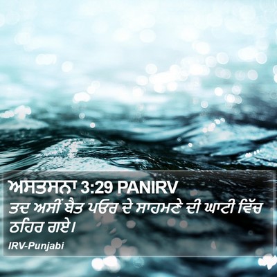 ਅਸਤਸਨਾ 3:29 PANIRV Bible Verse Image