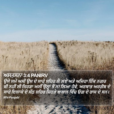 ਅਸਤਸਨਾ 3:4 PANIRV Bible Verse Image