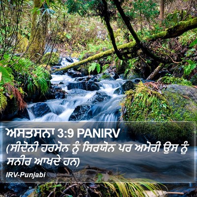ਅਸਤਸਨਾ 3:9 PANIRV Bible Verse Image