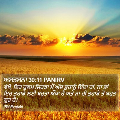 ਅਸਤਸਨਾ 30:11 PANIRV Bible Verse Image