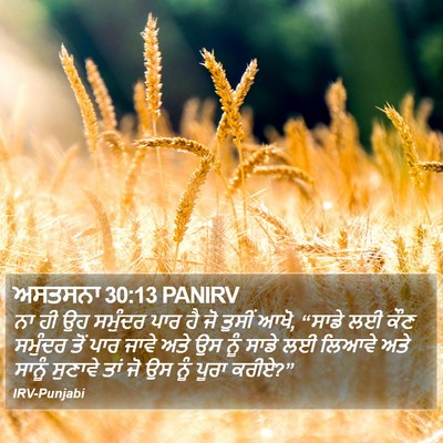 ਅਸਤਸਨਾ 30:13 PANIRV Bible Verse Image