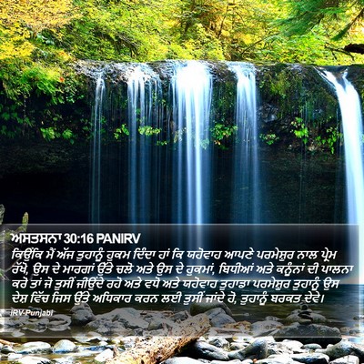 ਅਸਤਸਨਾ 30:16 PANIRV Bible Verse Image