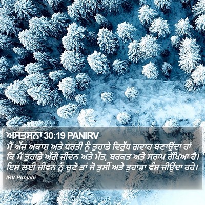 ਅਸਤਸਨਾ 30:19 PANIRV Bible Verse Image