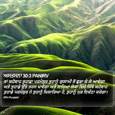 ਅਸਤਸਨਾ 30:3 PANIRV Bible Verse Image