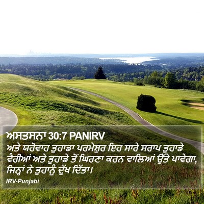 ਅਸਤਸਨਾ 30:7 PANIRV Bible Verse Image