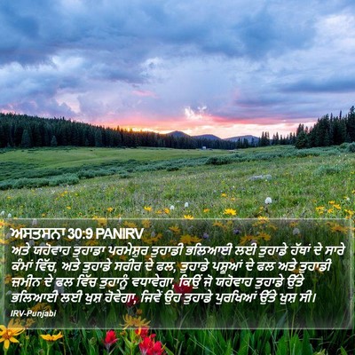 ਅਸਤਸਨਾ 30:9 PANIRV Bible Verse Image