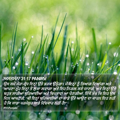 ਅਸਤਸਨਾ 31:17 PANIRV Bible Verse Image