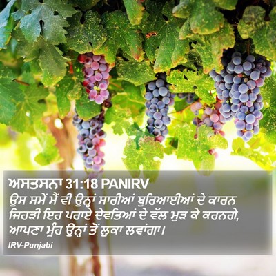 ਅਸਤਸਨਾ 31:18 PANIRV Bible Verse Image