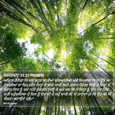 ਅਸਤਸਨਾ 31:21 PANIRV Bible Verse Image