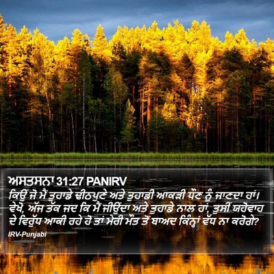 ਅਸਤਸਨਾ 31:27 PANIRV Bible Verse Image