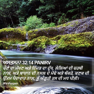 ਅਸਤਸਨਾ 32:14 PANIRV Bible Verse Image