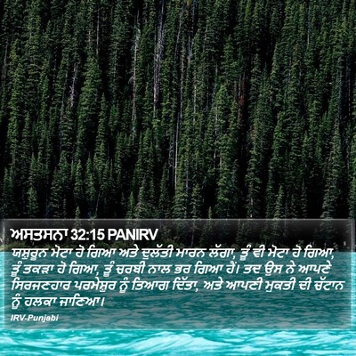 ਅਸਤਸਨਾ 32:15 PANIRV Bible Verse Image