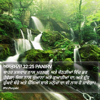 ਅਸਤਸਨਾ 32:25 PANIRV Bible Verse Image