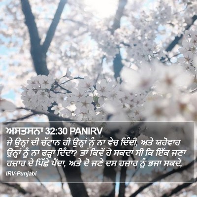 ਅਸਤਸਨਾ 32:30 PANIRV Bible Verse Image