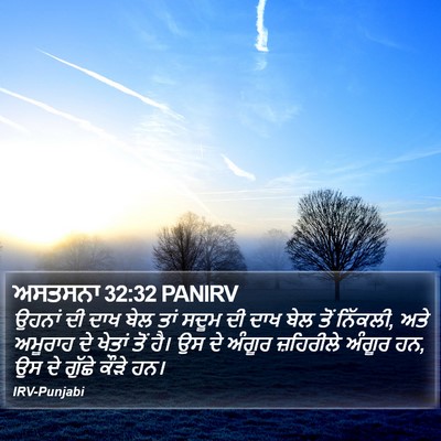 ਅਸਤਸਨਾ 32:32 PANIRV Bible Verse Image