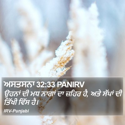 ਅਸਤਸਨਾ 32:33 PANIRV Bible Verse Image
