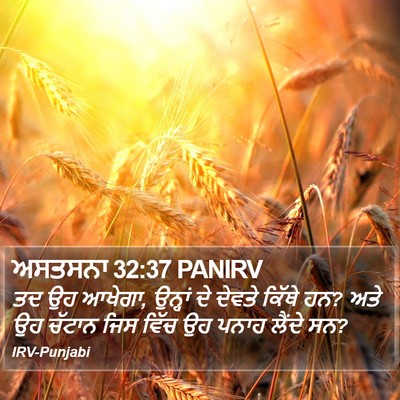 ਅਸਤਸਨਾ 32:37 PANIRV Bible Verse Image