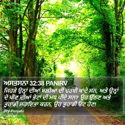 ਅਸਤਸਨਾ 32:38 PANIRV Bible Verse Image