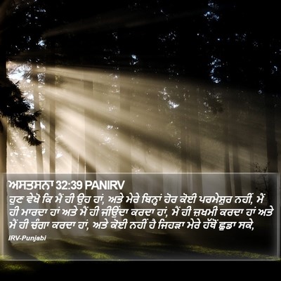 ਅਸਤਸਨਾ 32:39 PANIRV Bible Verse Image
