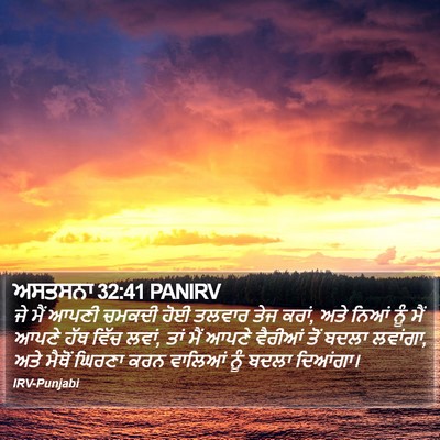 ਅਸਤਸਨਾ 32:41 PANIRV Bible Verse Image