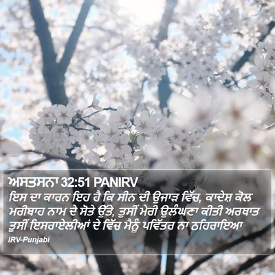 ਅਸਤਸਨਾ 32:51 PANIRV Bible Verse Image