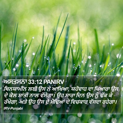 ਅਸਤਸਨਾ 33:12 PANIRV Bible Verse Image