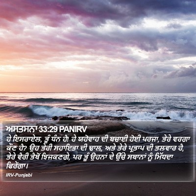 ਅਸਤਸਨਾ 33:29 PANIRV Bible Verse Image
